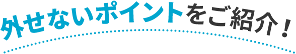 外せないポイントをご紹介